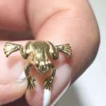 Pendiente rana cogido en mano