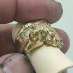 horse ring