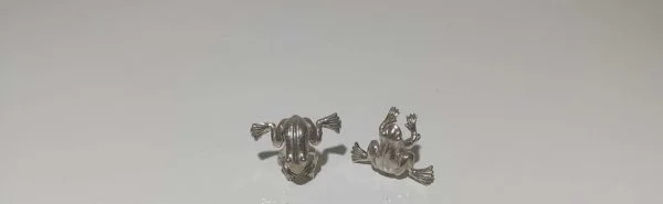 Pendientes ranas plata